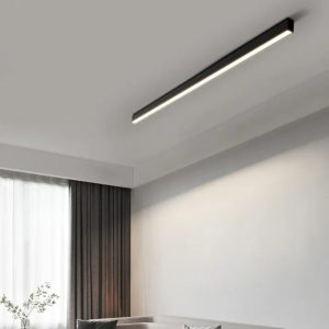LED Flush Mount Ceiling Light | Modern Linear Dimmable Fixture