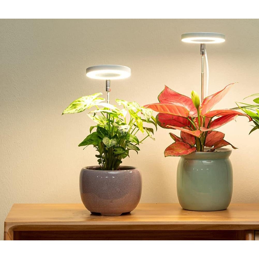 LED Grow Light | Full Spectrum Plant Growth Ring with Adjustable Stand