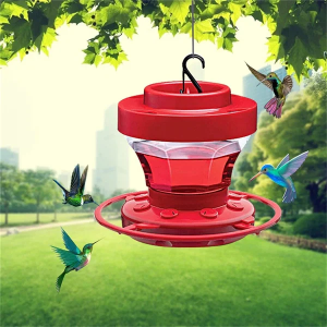Hummingbird Feeder | Red Ant-Proof Hanging Design